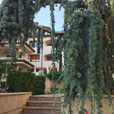 Casa Real Sweti Wlas